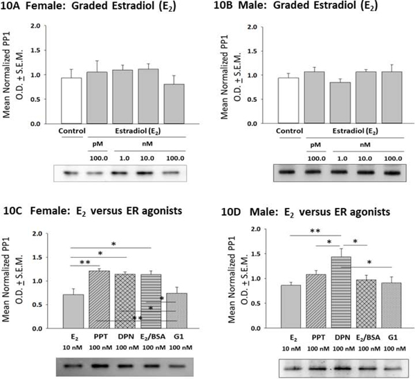 Figure 10: