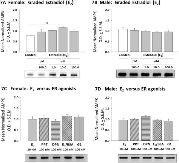 Figure 7: