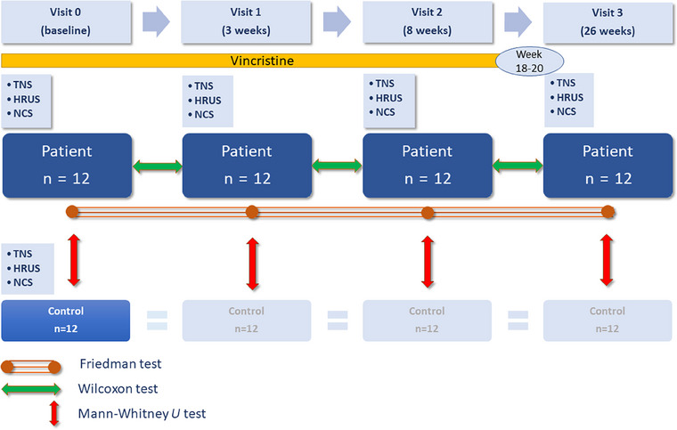 FIGURE 1