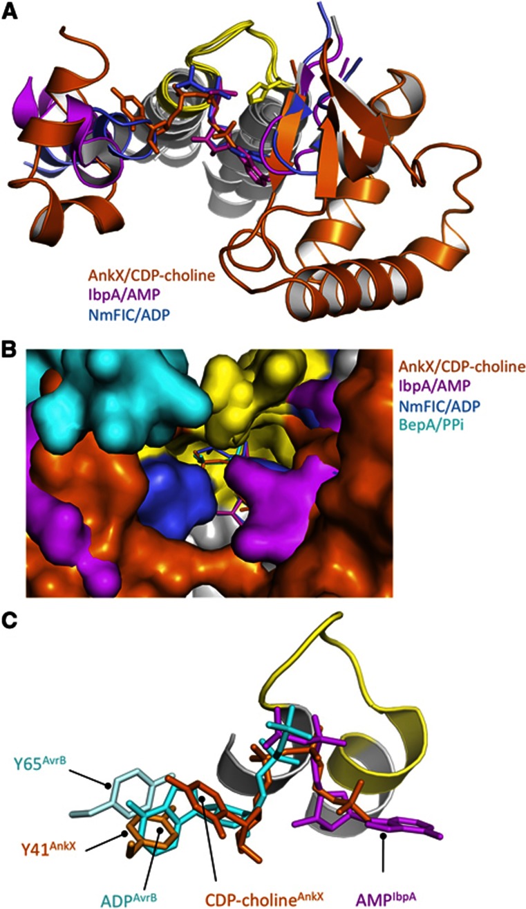 Figure 5