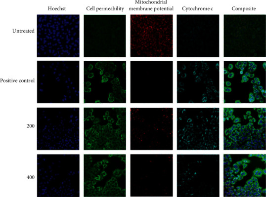 Figure 13