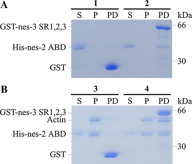 Fig. 4