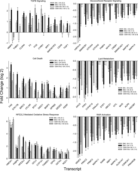 Figure 4.