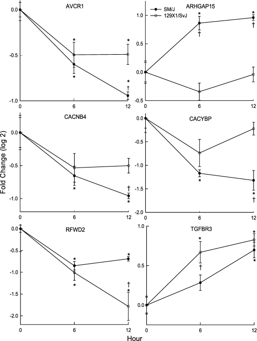 Figure 6.