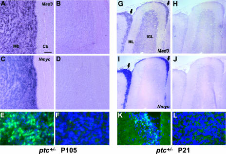 FIG. 6.