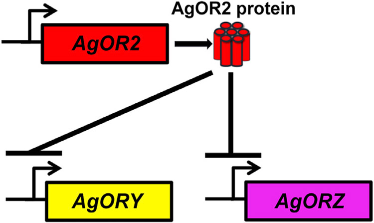 Figure 7.