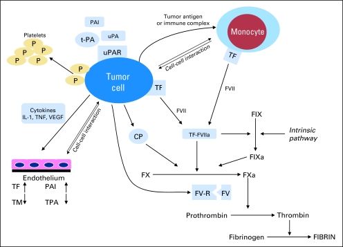 Fig 1.