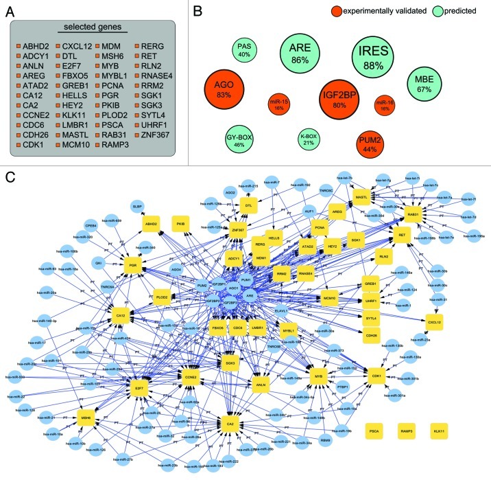 graphic file with name rna-9-1224-g3.jpg