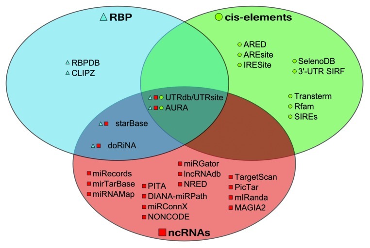 graphic file with name rna-9-1224-g1.jpg