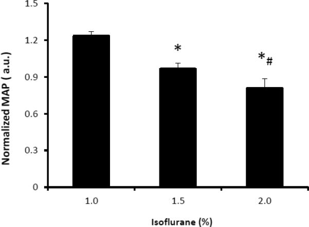 Fig.6