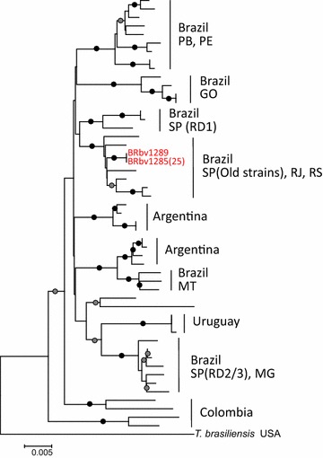 Fig. 2