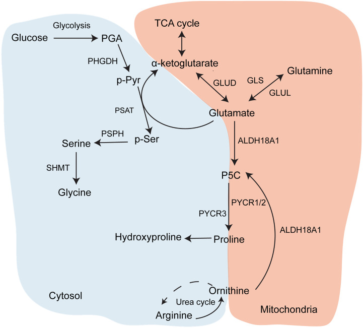 Figure 2