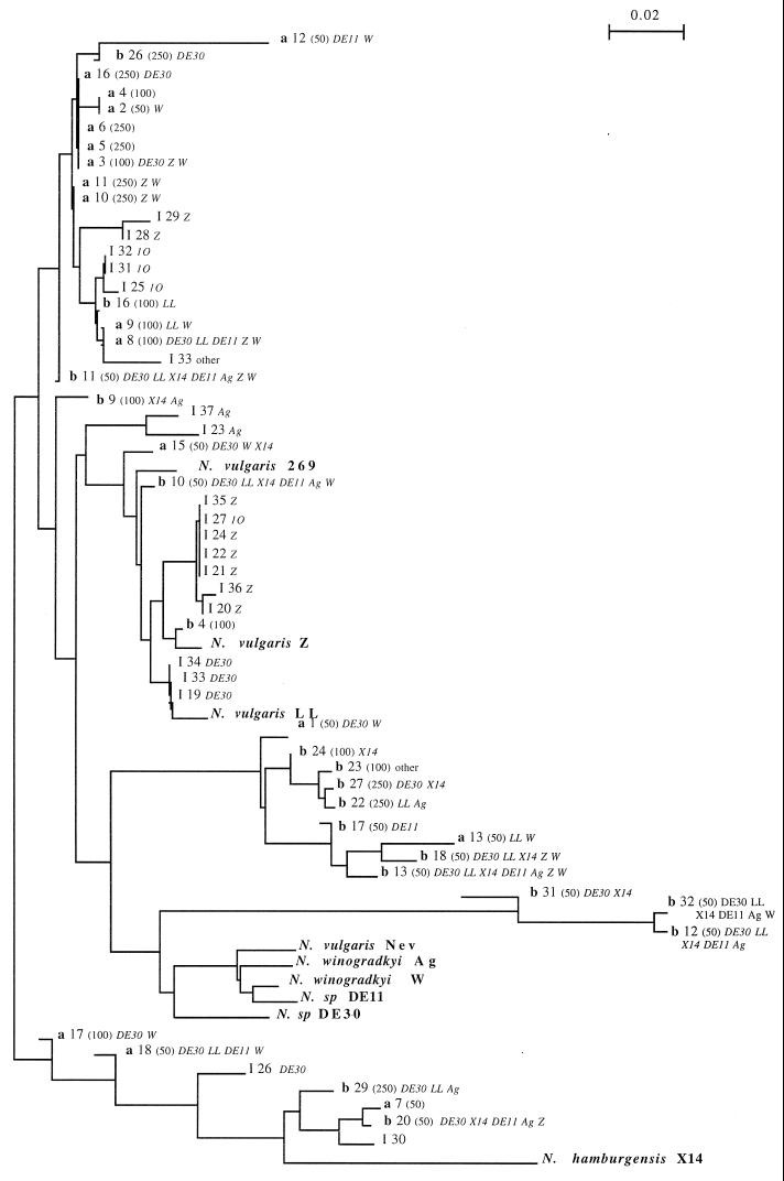 FIG. 1