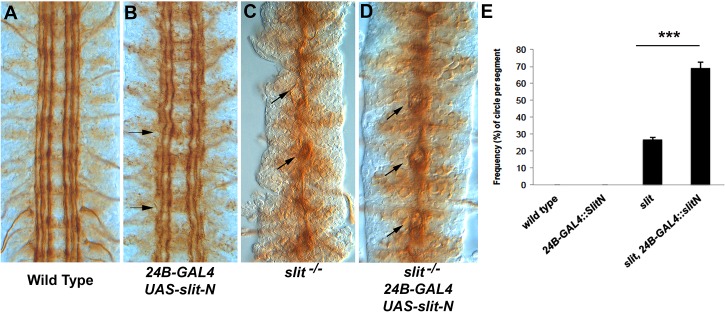 Fig 8