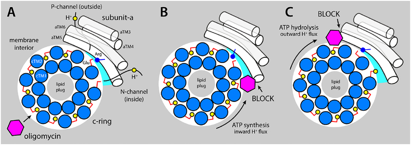 Figure 6.