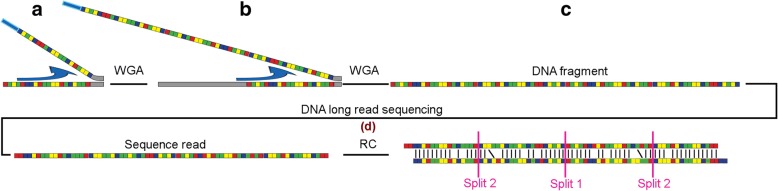 Fig. 1