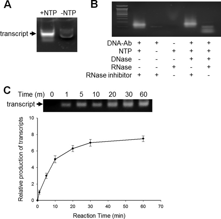 Fig. 3.