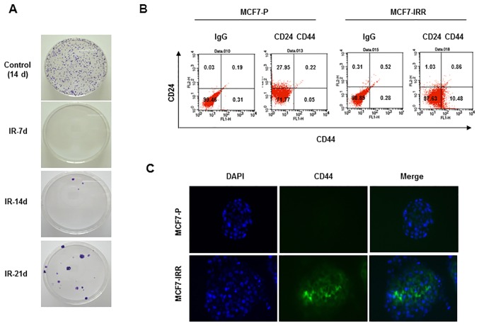 Figure 2