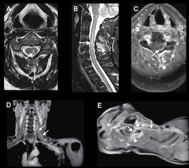 FIGURE 1: