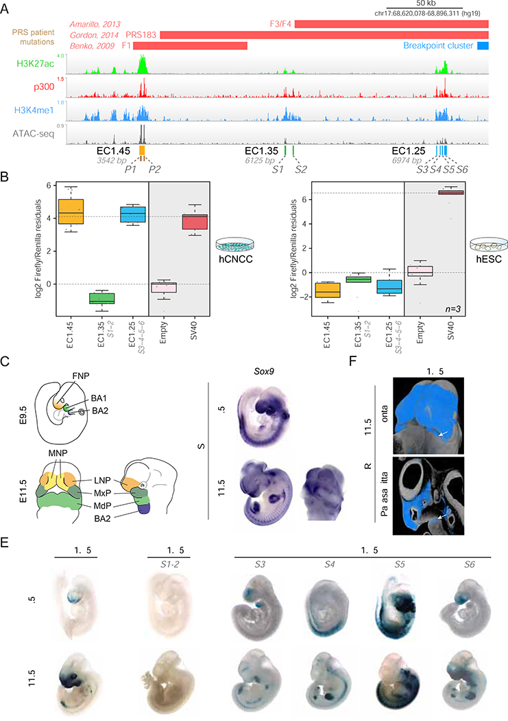 Figure 2: