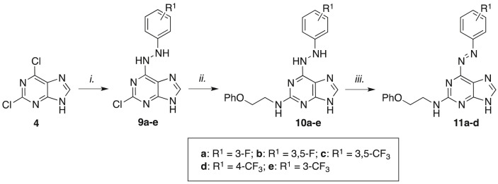 Scheme 2