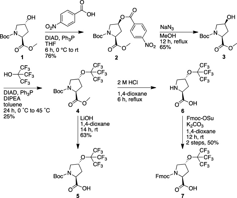 Scheme 1