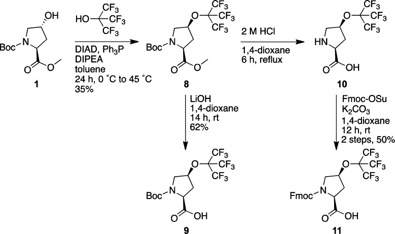 Scheme 2