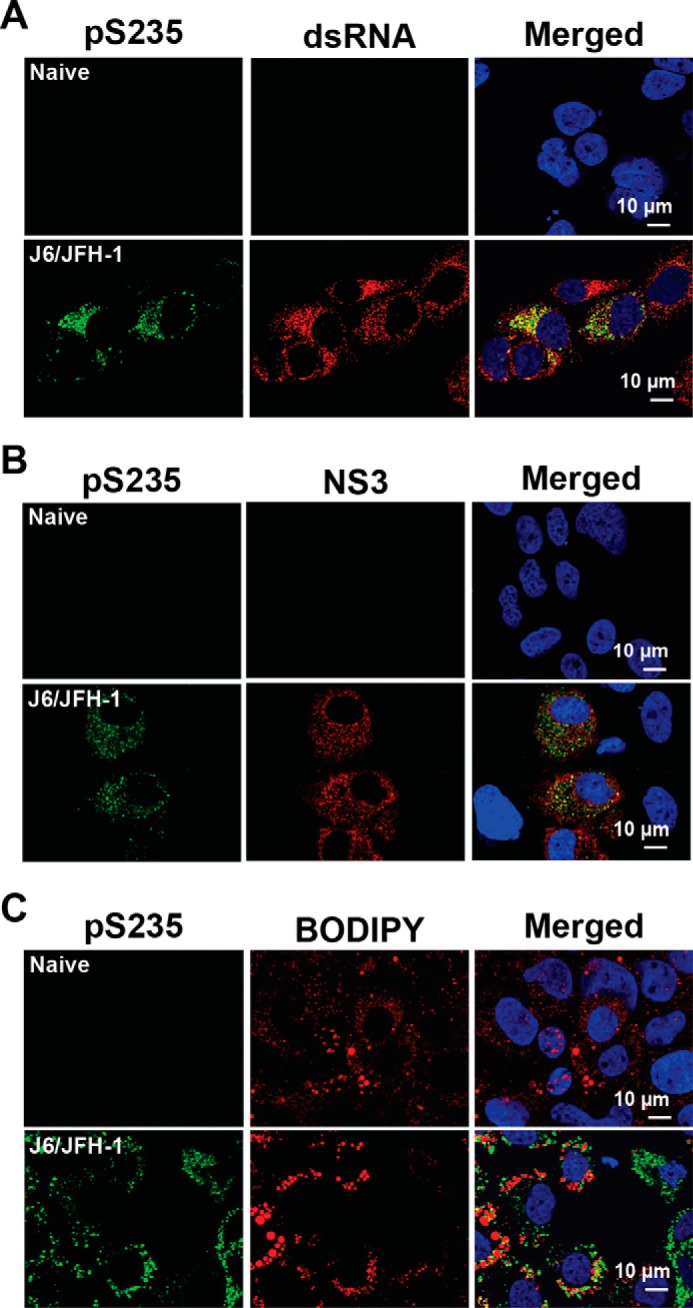 FIGURE 6.