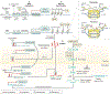 Figure 1 |