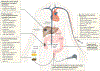 Figure 3 |