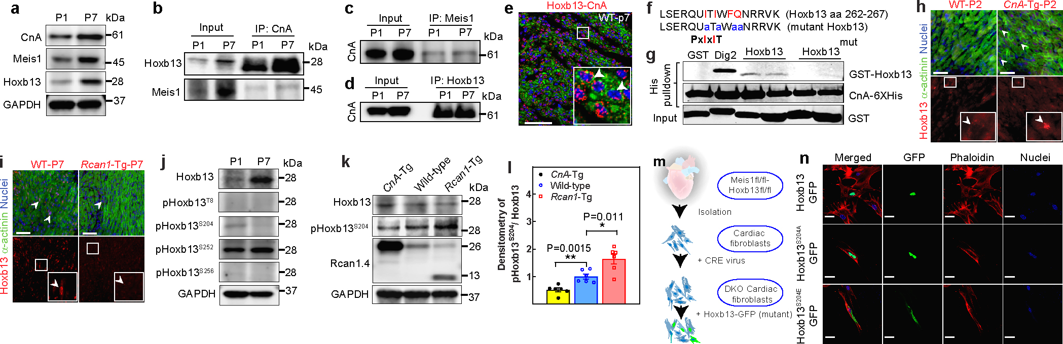 Figure 3: