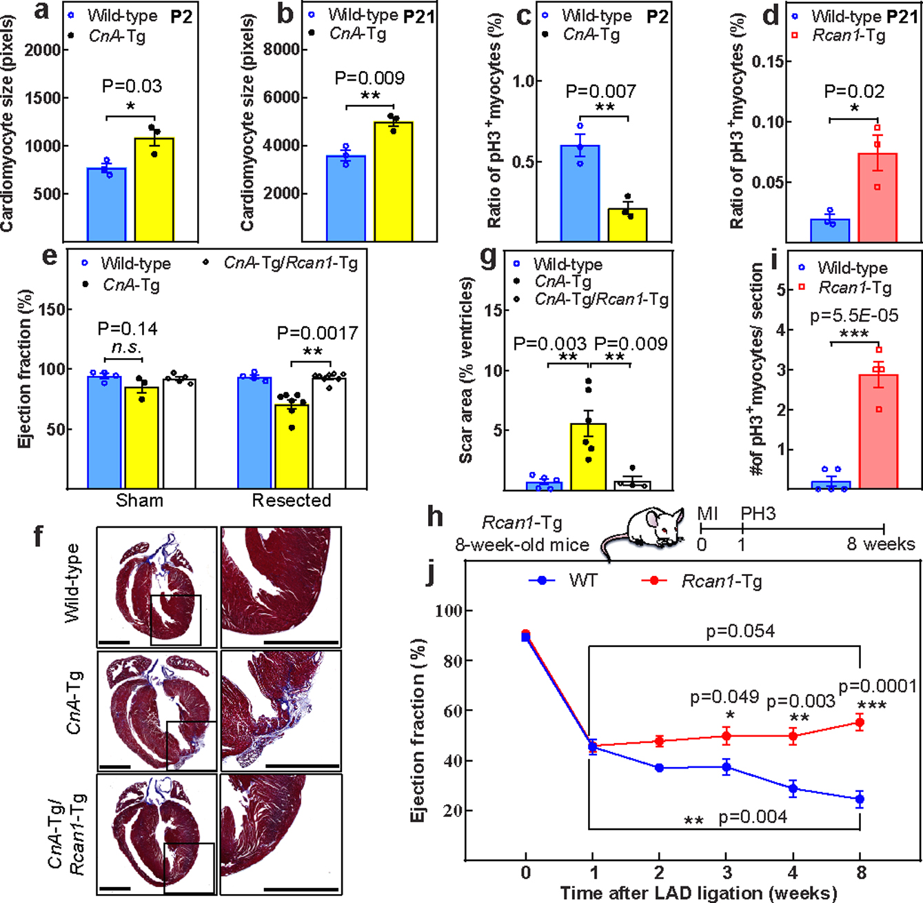 Figure 4: