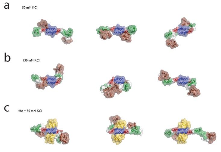 Figure 2—figure supplement 1.