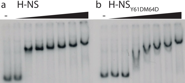 Figure 1—figure supplement 2.