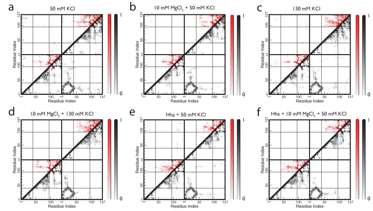 Figure 2—figure supplement 2.