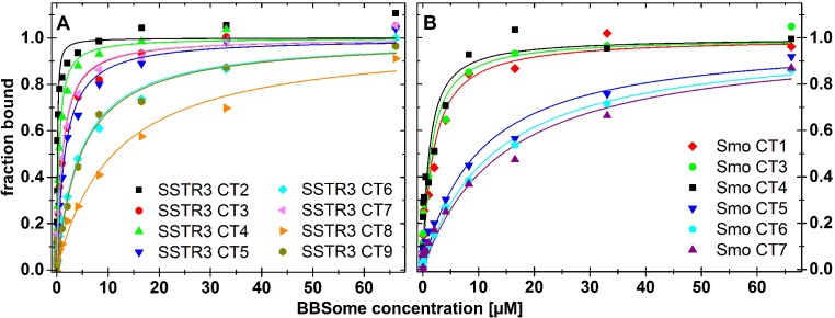 Figure 5—figure supplement 2.