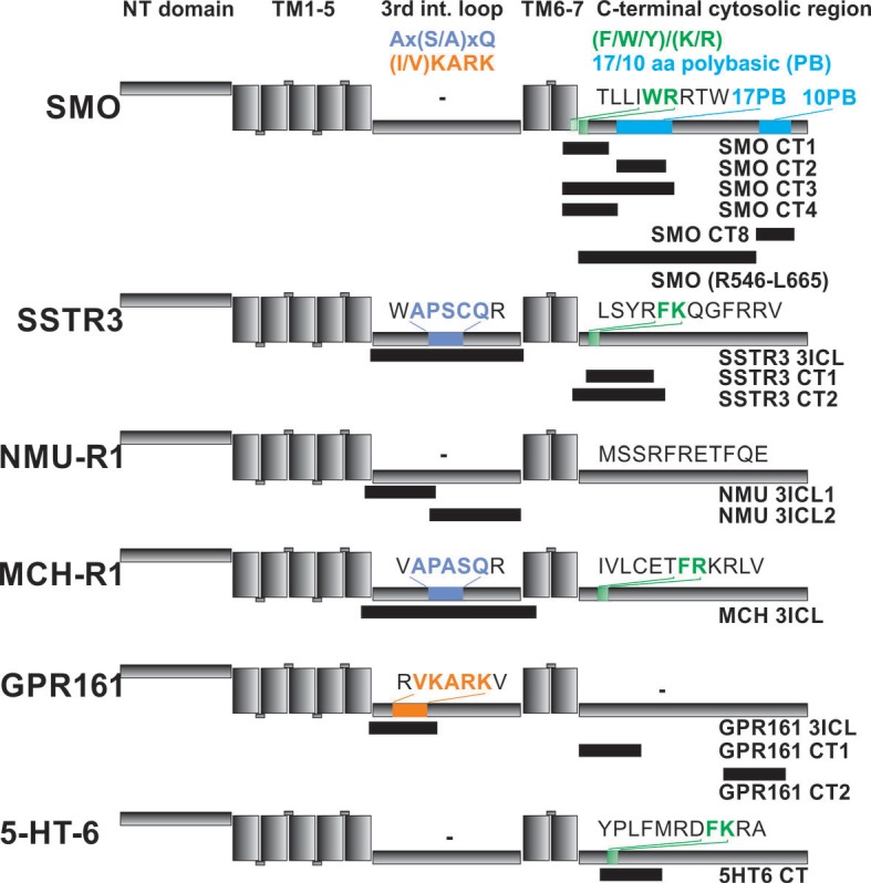 Figure 6.