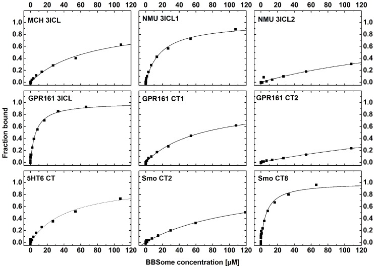 Figure 5—figure supplement 1.