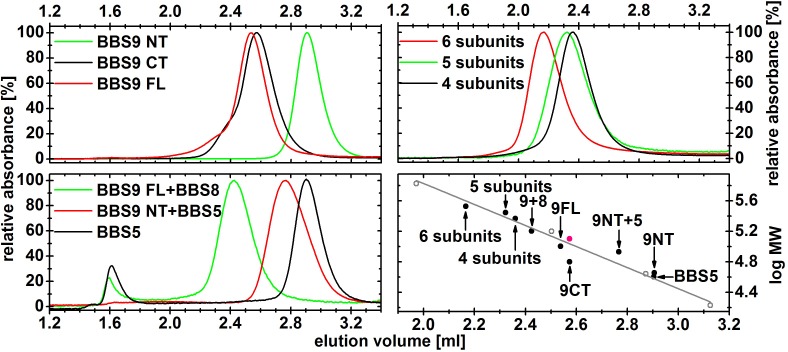 Figure 1—figure supplement 2.