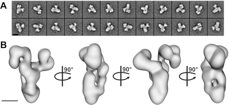 Figure 2.