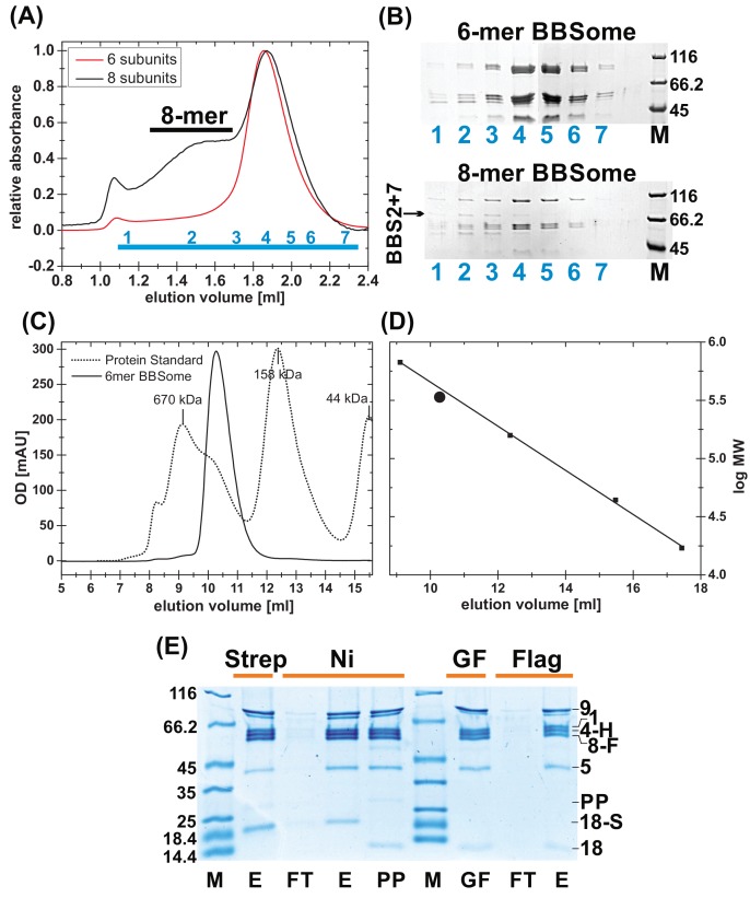 Figure 1—figure supplement 3.