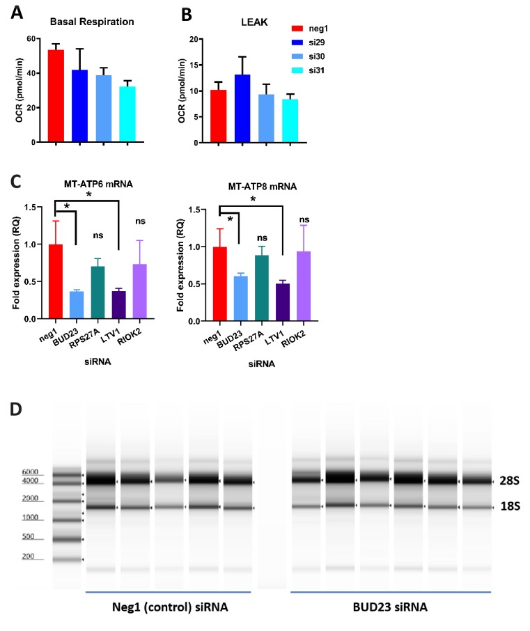 Figure 2—figure supplement 2.