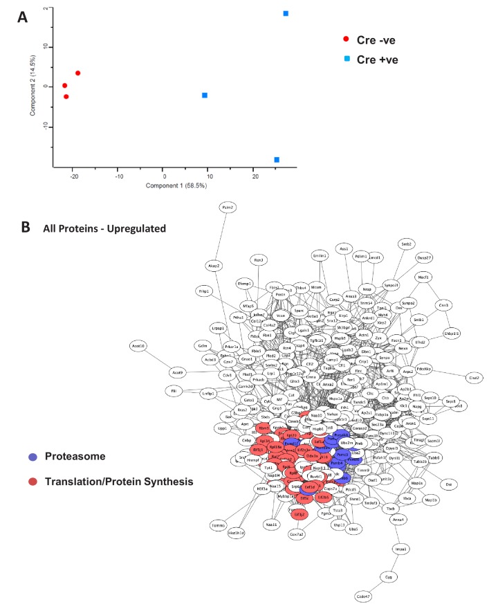 Figure 4—figure supplement 1.