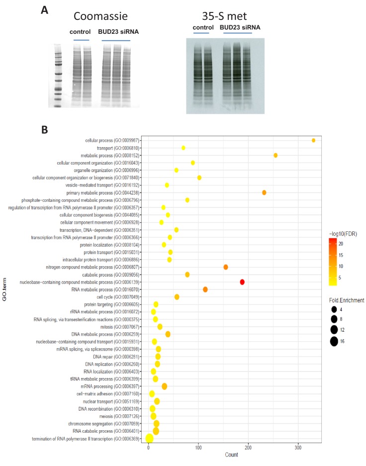 Figure 1—figure supplement 1.