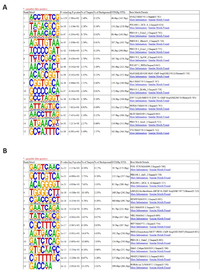 Figure 1—figure supplement 2.