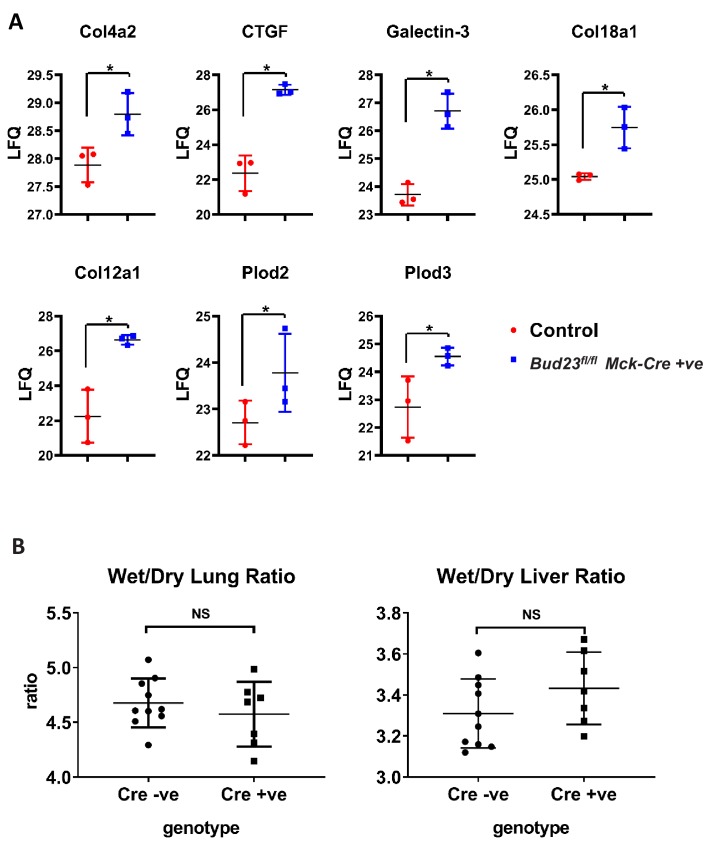 Figure 6—figure supplement 1.