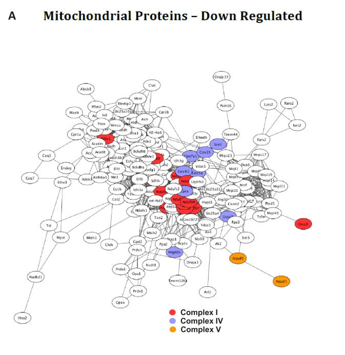 Figure 4—figure supplement 3.