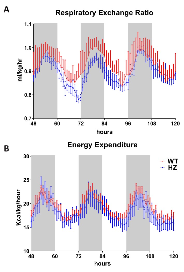 Figure 3—figure supplement 1.