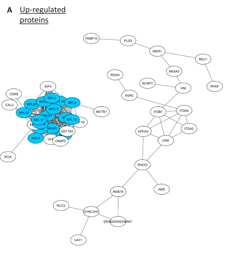 Figure 2—figure supplement 1.