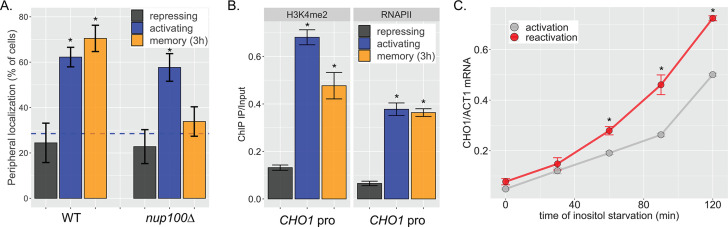 Figure 1—figure supplement 1.